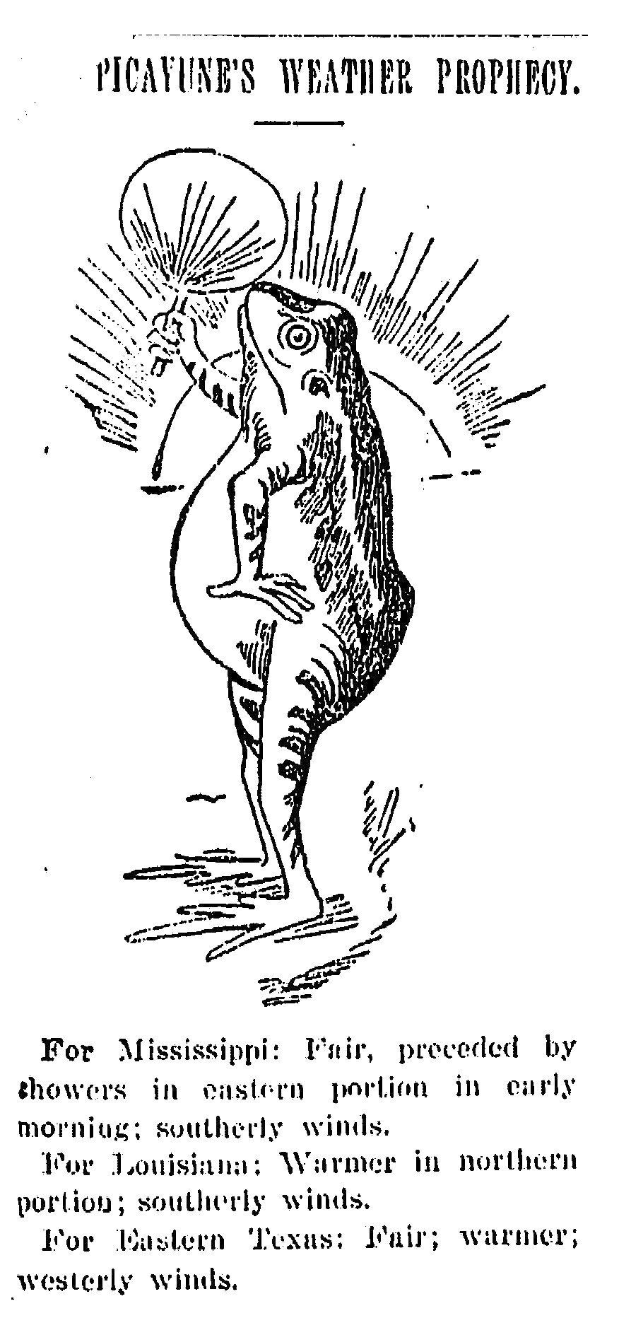 1894: How a Cartoon Frog Became a New Orleans Weather Forecaster